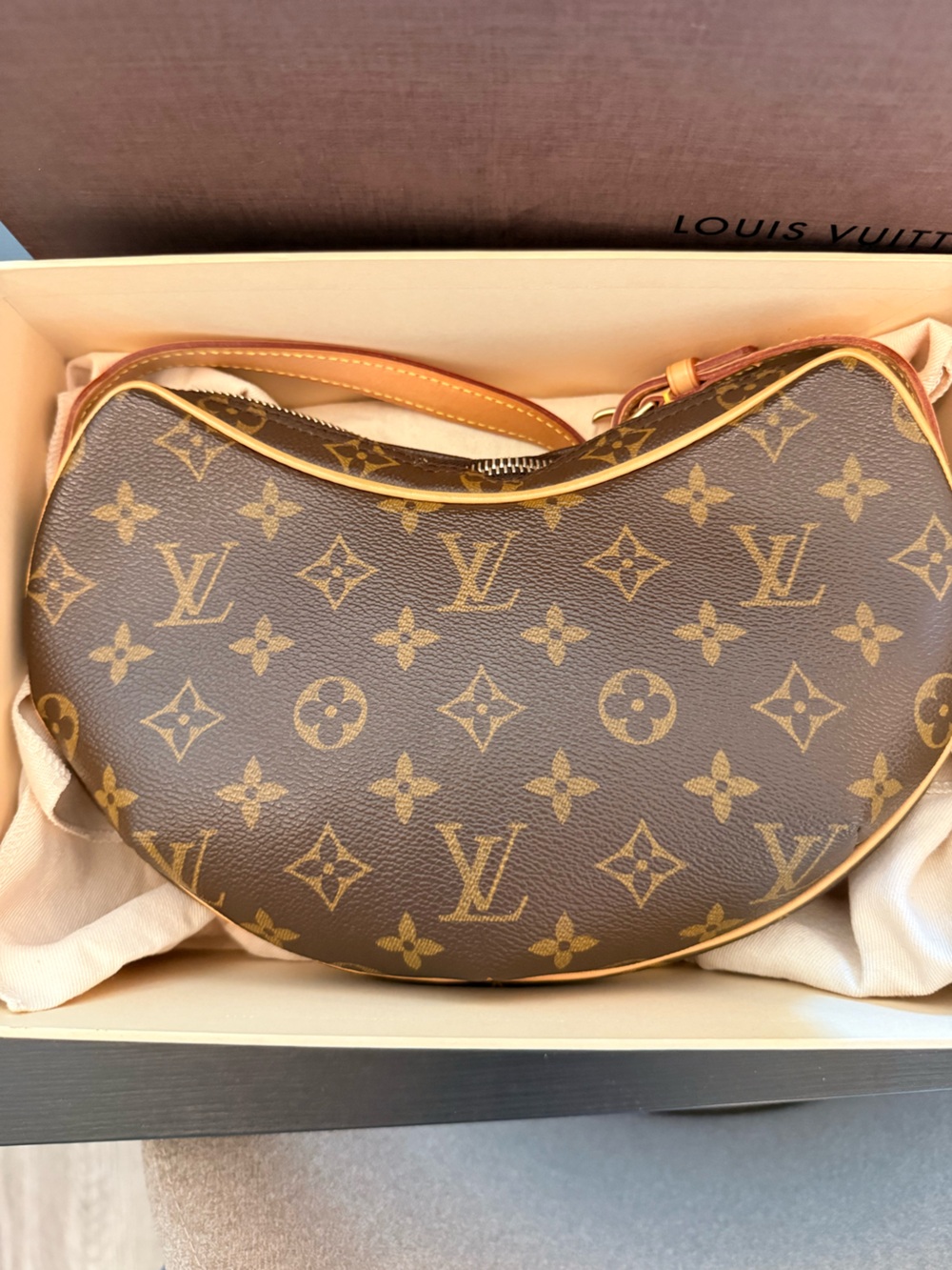 Louis Vuitton Croissant Monogram Shoulder Bag | Entrupy Authenticated